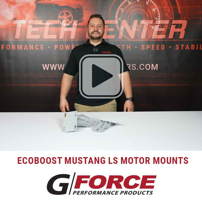 Ecoboost Mustang LS Engine Motor Mounts
